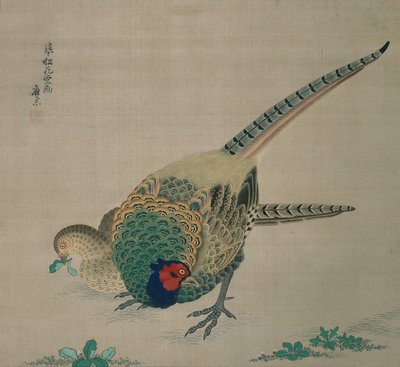 Parchemin suspendu (paire de faisans) - Maruyama Okyo